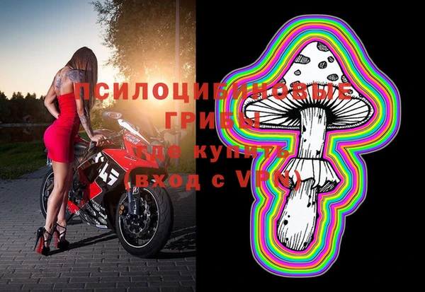 герыч Ладушкин