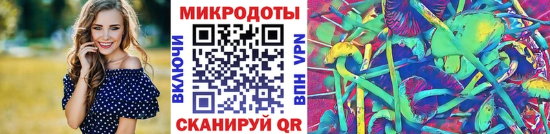 Псилоцибиновые грибы Psilocybine cubensis Старый Крым